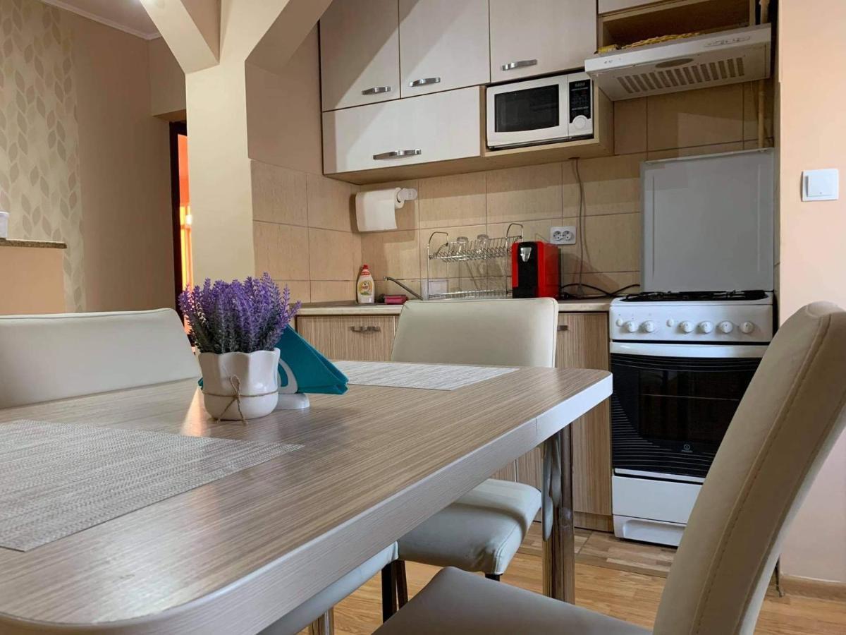 Vlad'S Apartment Târgu-Mureş Εξωτερικό φωτογραφία